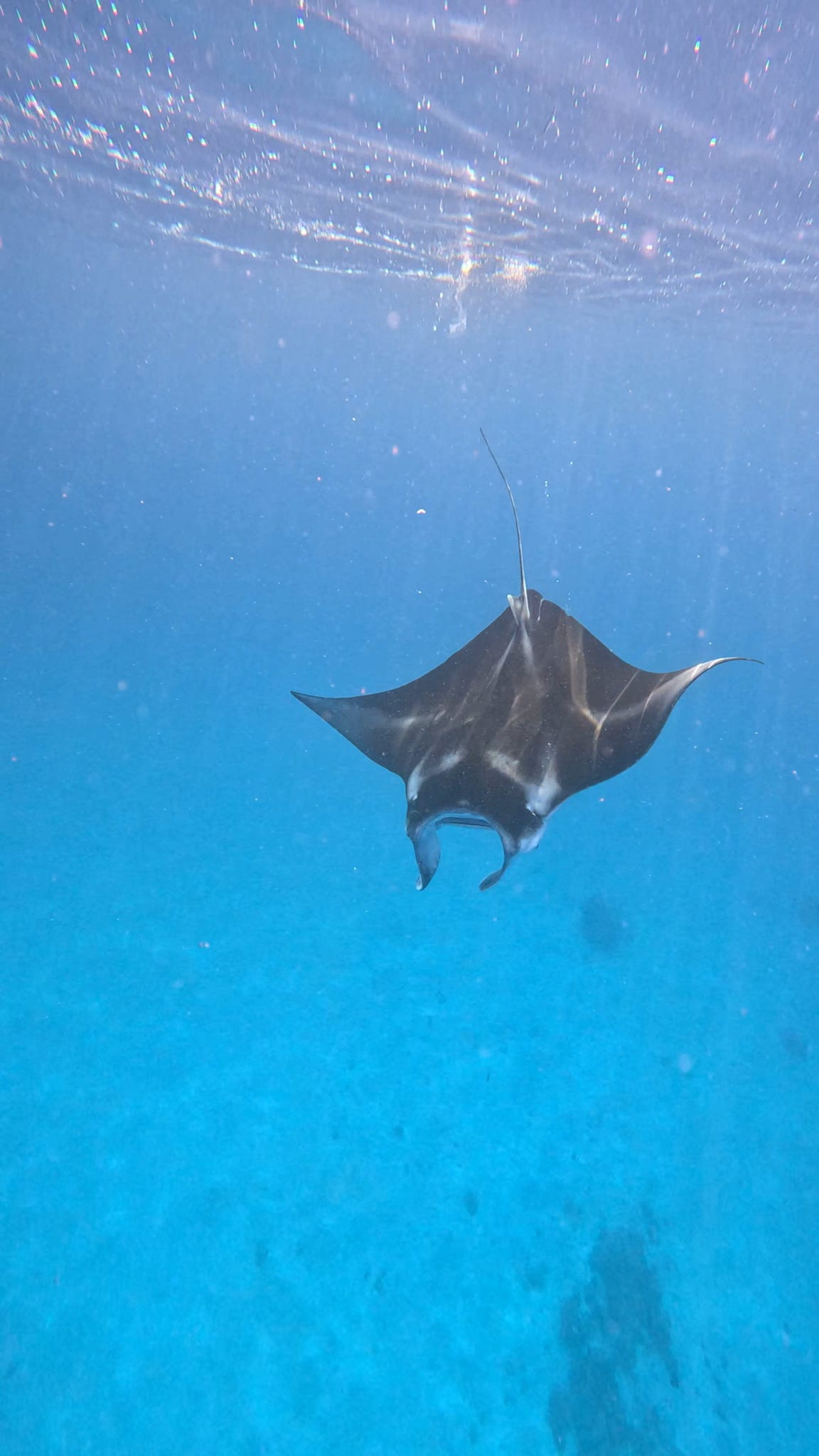 DEPOSIT Maldives Group Trip — 24th October - 2nd November 2025