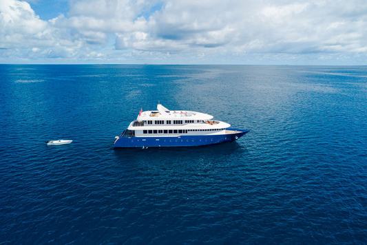SHARED LOWER DECK - Say Yes AGAIN! 13th - 21st November 2026 - YACHT TRIP