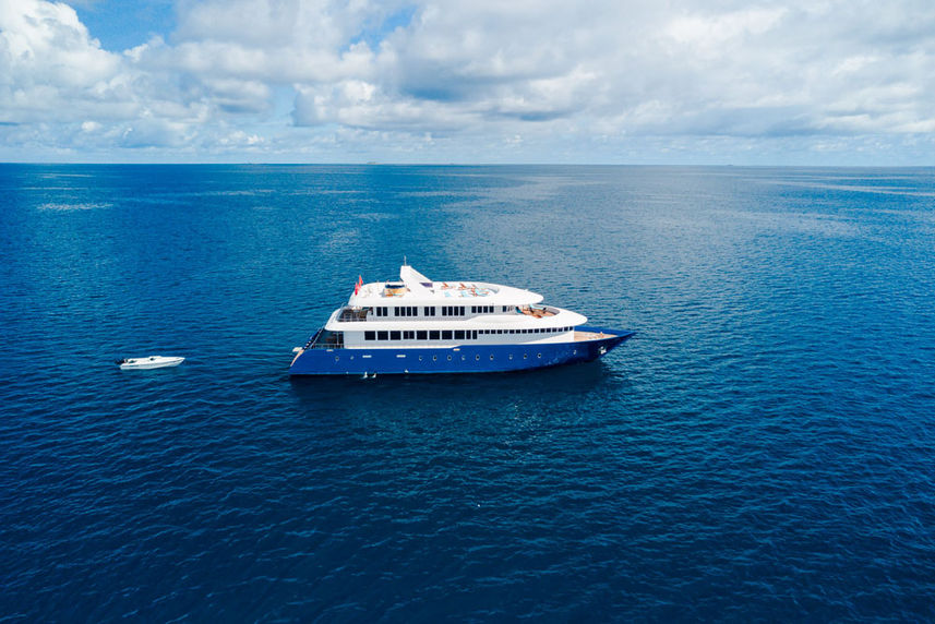 MALE SHARED LOWER DECK - Say Yes AGAIN!  13th - 21st November 2026 - YACHT TRIP (Copy)