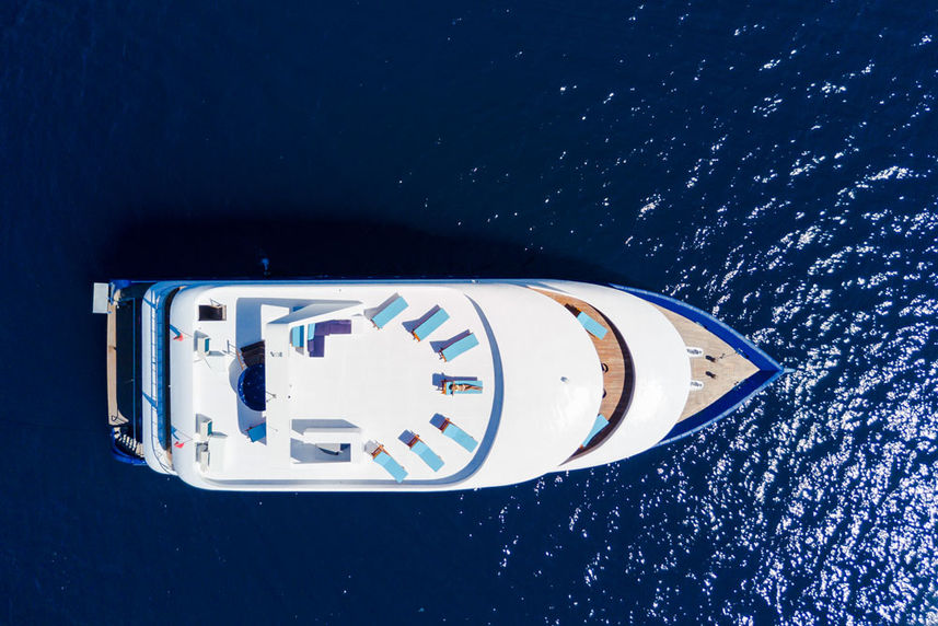 MALE SHARED LOWER DECK - Say Yes AGAIN!  13th - 21st November 2026 - YACHT TRIP (Copy)