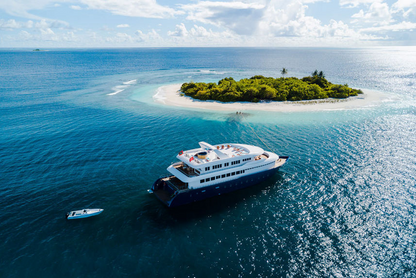 MALE SHARED LOWER DECK - Say Yes AGAIN!  13th - 21st November 2026 - YACHT TRIP (Copy)