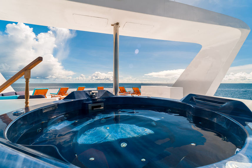 MALE SHARED LOWER DECK - Say Yes AGAIN!  13th - 21st November 2026 - YACHT TRIP (Copy)